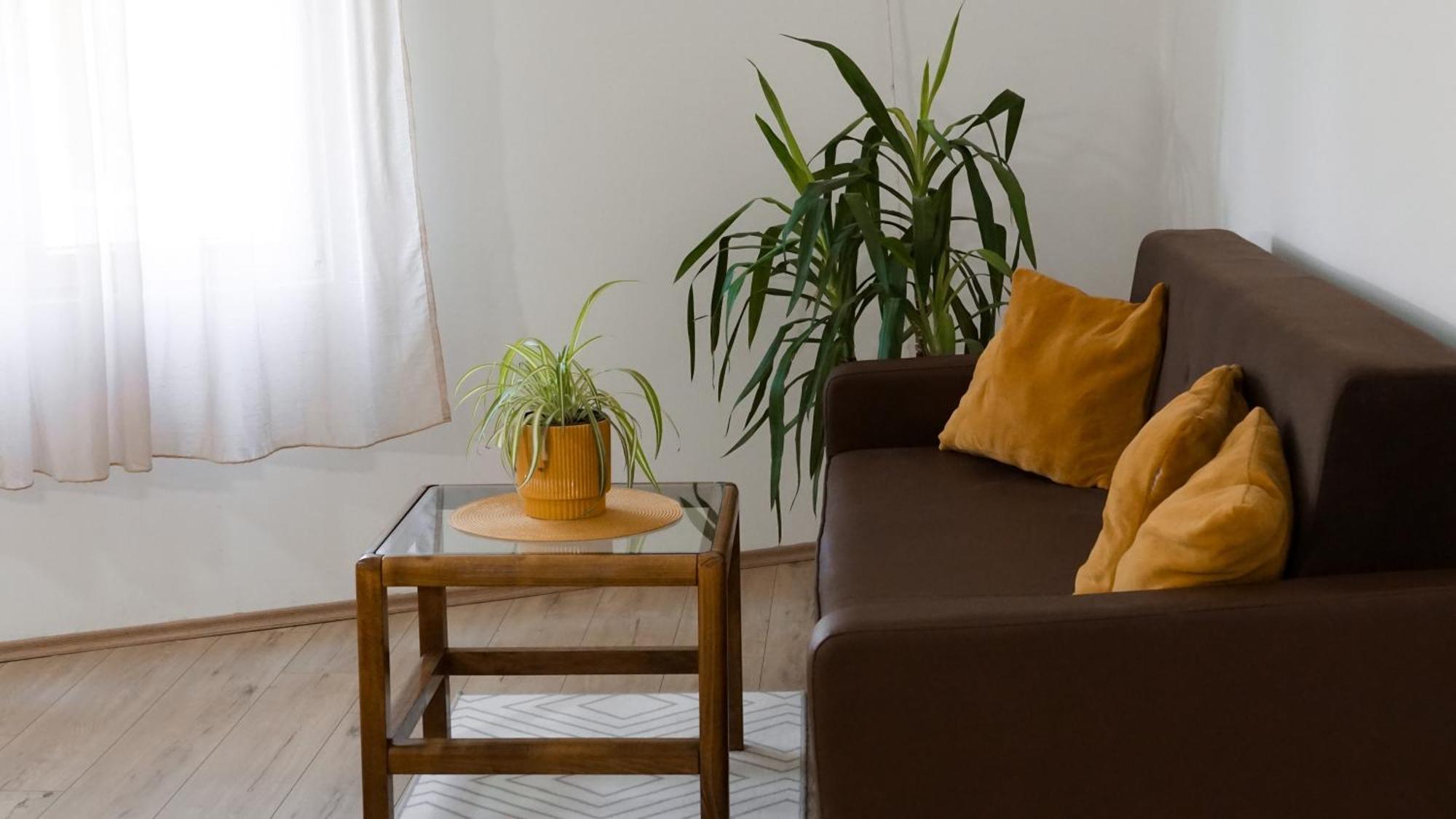 Apartmani Bubamara Leskovac Λέσκοβατς Εξωτερικό φωτογραφία